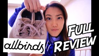 The FULL AllBirds Runners Review [upl. by Eojyllib]