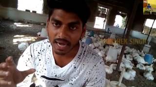 Coccidiosis in poultry farming [upl. by Agnizn]