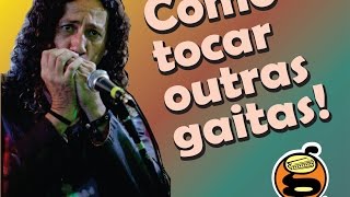 Gaita iniciante  Como tocar outras gaitas  Harmônica   Gaita de boca [upl. by Cornell]