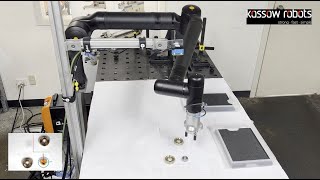 KASSOW Robot Classification of different parts and pick and place [upl. by Liek]