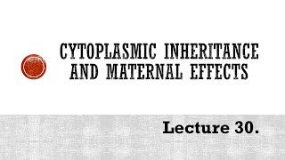 Lecture 30 Cytoplasmic inheritance PBG 201 [upl. by Roshan160]