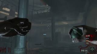 Black Ops 1  Kino Der Toten 2024 [upl. by Ynnod]