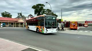 Sunbury bus interchange 382024 [upl. by Feerahs]