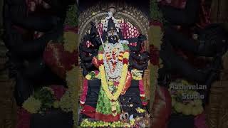 Mecheri 🙏bathrakaliamman 🌿 WhatsApp status Mecheri Bathrakaliamman EDlTZ [upl. by Barby]