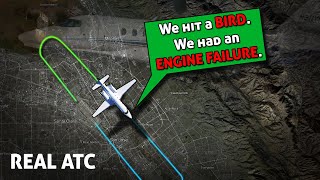 Birdstrike caused engine failure on takeoff REAL ATC [upl. by Mencher]