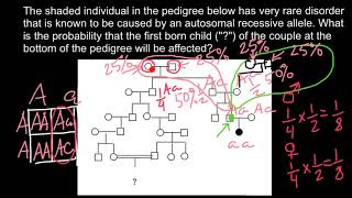 How to solve advanced pedigree problems [upl. by Krutz99]