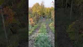 IDEALNA VIKENDICA sa prelepim pogledom realestate serbia nekretnine home property novisad [upl. by Etan]