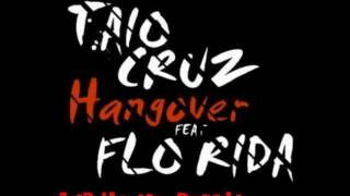 Taio Cruz feat Flo Rida  Hangover JvB House Remix [upl. by Jollenta524]