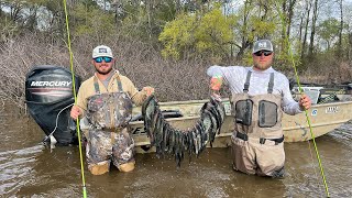 WADE Fishing For SPAWNING CRAPPIE Catch And Cook [upl. by Atirec]