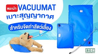 BECQuickReview แนะนำ VACUUMAT เบาะสุญญากาศสำหรับจัดท่าสัตว์เลี้ยง [upl. by Aseyt]