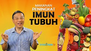 MAKANAN PENINGKAT IMUN TUBUH [upl. by Otreblanauj337]