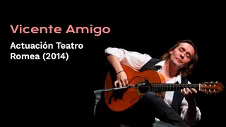 Concierto Vicente Amigo en Teatro Romea de Murcia 2014 [upl. by Elleiand]