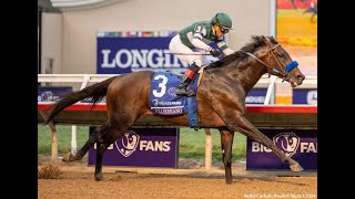 Breeders Cup Dirt Mile G1 2024 [upl. by Ahtnammas]