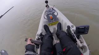 Hobie outback Sussex kayak fishing Seaford 2018 [upl. by Solracsiul]