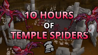 Loot From 10 Hours Of Temple Spiders [upl. by Blake468]