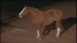 Beautiful tribute to bucking horses at RodeoHouston [upl. by Sebastian467]