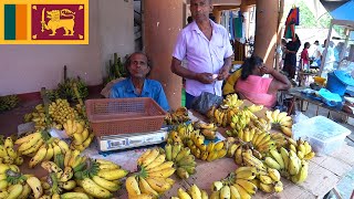 Vegetable Fair in Tangalle Sri Lanka [upl. by Joelle]