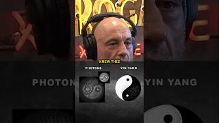 Rogan Photons and the YinYang Connection [upl. by Hahnke941]