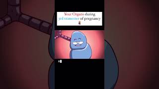 What to expect in third trimester funnyvideoinformedpregnancy pregnancywellbeing [upl. by Ebberta13]