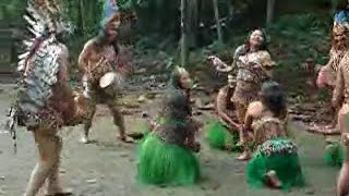 Danza Indigena en el Amazonas [upl. by Leahcimnaes940]