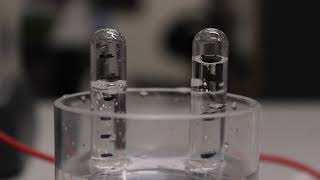 Electrolysis of Acidified Water [upl. by Joanie]