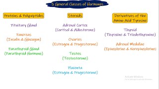 Classification of Hormones Chapter 75 part 2 Guyton and Hall Physiology [upl. by Oeram]