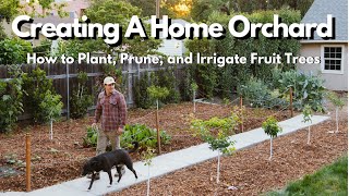 How to Plant Prune and Irrigate Fruit Trees EVERYTHING YOU NEED TO KNOW [upl. by Arod]