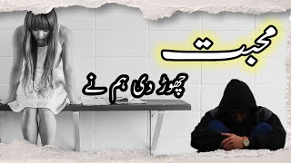 Muhabbat Chor Di Hum Ne Status  محبت چھوڑ دی ہم نے  Poetry [upl. by Straub]