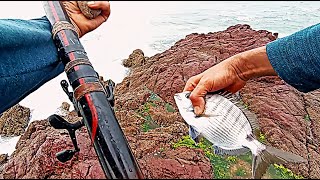 Pelota Fishing Trip Preparing Sardine Paste for Pelote [upl. by Schechinger]