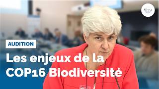 COP 16 Biodiversité  audition de S Lemmet et SGoulard [upl. by Betteann]