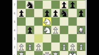 Classical Chess Games FischerRubinetti [upl. by Anoli]