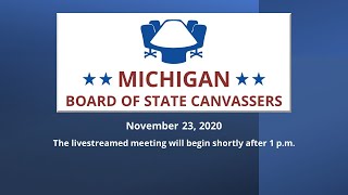 Michigan Board of State Canvassers [upl. by Nikolas]