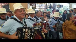 Grupo de Concertinistas da Lousã  Festa das Colheitas  Vila Verde  2019 [upl. by Wesa]