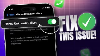 How to Silence Unknown Callers on iPhone in iOS 18 System  Mute Unknown Callers on iPhone [upl. by Lessirg]