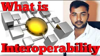 What is Interoperability Meaning Detail and Explanation In Hindi [upl. by Tisbe]