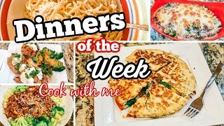 COOK WITH ME  DINNERS OF THE WEEK [upl. by Werby409]