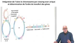 Cours N°20 Génétique bactérienne Mécanisme de transfert de gènes et recombinaison [upl. by Ettesel]