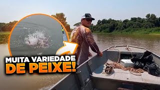 PESCARIA NO PANTANAL COM MUITA VARIEDADE DE PEIXE VIDEO COMPLETO [upl. by Pettit]