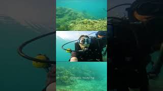 Lakshadweep Tour guide  How to reach Lakshadweep  Traveller Yogi [upl. by Hankins]