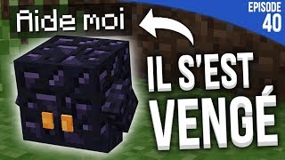 JE NAURAIS JAMAIS DU LE TROLLER  Minecraft Moddé S4  Episode 40 [upl. by Acisey849]