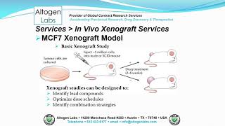 Altogen Labs MCF7 Xenograft Service Breast Cancer [upl. by Renaxela]