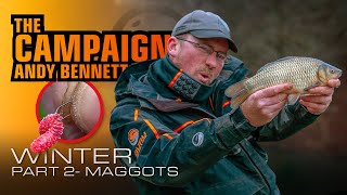 Winter Maggot Fishing With Andy Bennett [upl. by Miner734]