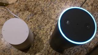 Alexa Amazon Echo and Google Home infinite loop conversation [upl. by Eellah]