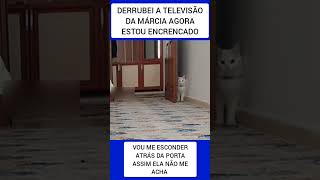 PERDÃO FOI SÓ UMA TELEVISÃO 😂😂😂😂 [upl. by Ahcas]