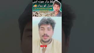 HUSNAIN BHAI FAKIEH VLOG foryou virlvideo poppular trading allahhoakbar gesibanglari [upl. by Dugan]