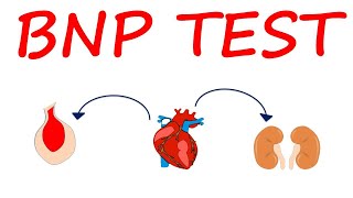 Brain Natriuretic Peptide BNP Test for heart failure [upl. by Olumor]