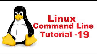 Linux Command Line Tutorial For Beginners 19  Octal and Numerical permissions chmod [upl. by Noletta]