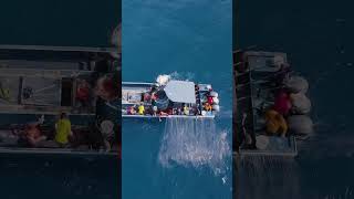 Look at those hands move We watched them for 4 hours and they plugged the boat Very impressive [upl. by Kcinnay]