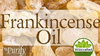 Frankincense Essential Oil  All You Need To Know [upl. by Clere]