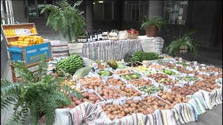 Carreta para la RomeríaOfrenda del Pino del Cabildo de Gran Canaria [upl. by Asusej343]